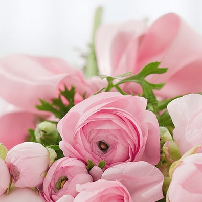 此爱绵绵无绝期